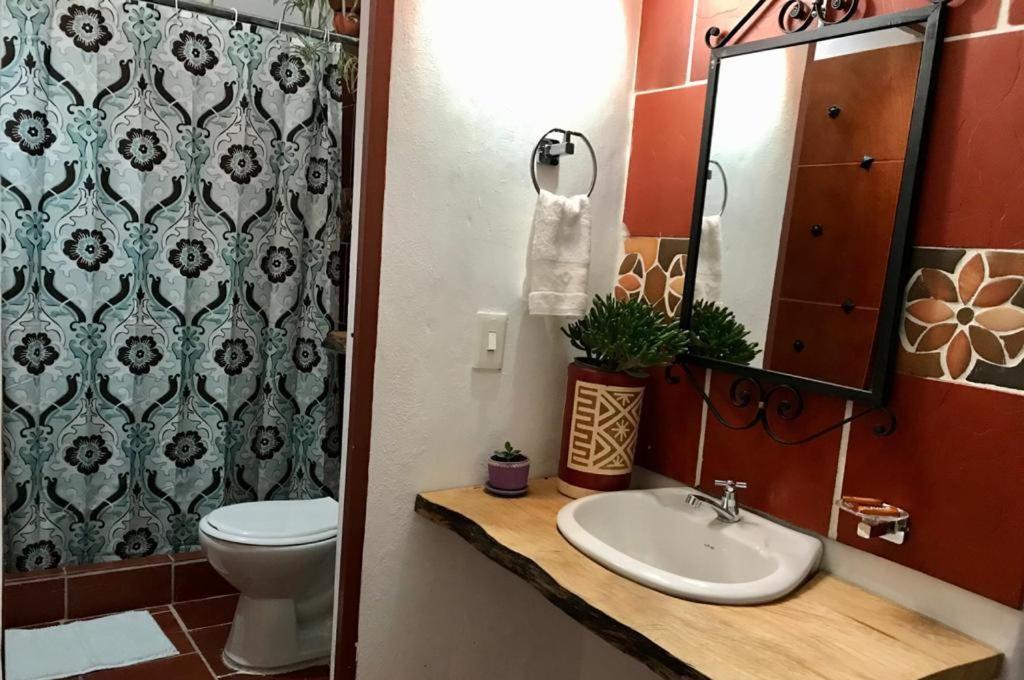 Apartamento Estándar